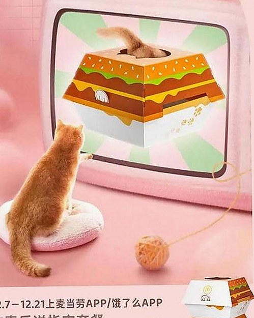 娱乐圈八卦内幕大揭秘：手机视频掀起新一轮风暴