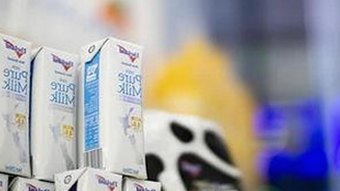 娱乐吃瓜酱：陪你畅享趣味生活的大学生礼貌吃瓜达人